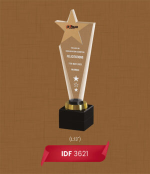 Acrylic Trophies(IDF 3621)