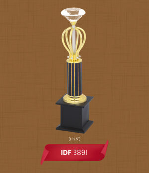 trophies & awards