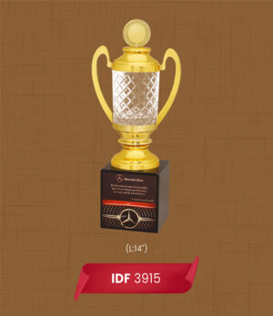 Awards & Trophies (IDF-3915)