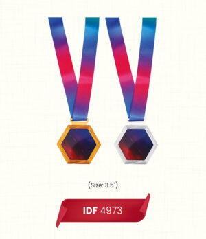 medals(IDF 4973)